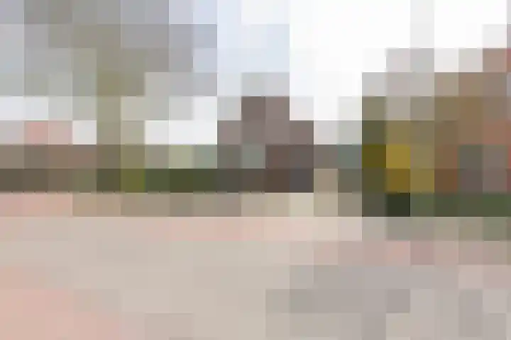 Westeinde 245 Berkhout thumbnail 57