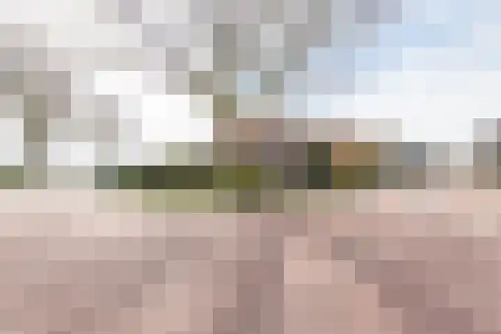 Westeinde 245 Berkhout thumbnail 58