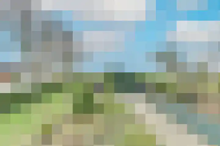 Westeinde 245 Berkhout thumbnail 6