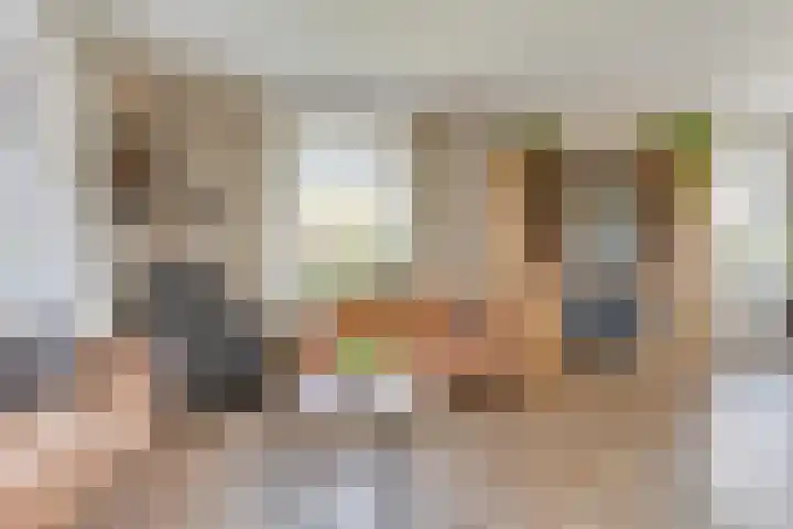 Westeinde 245 Berkhout thumbnail 7