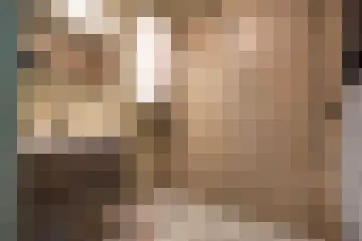 Westeinde 25 Oud-Alblas thumbnail 13