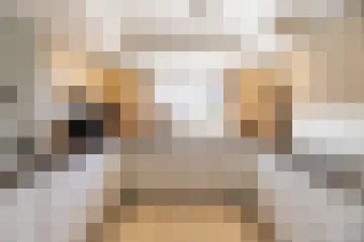 Westeinde 25 Oud-Alblas thumbnail 25