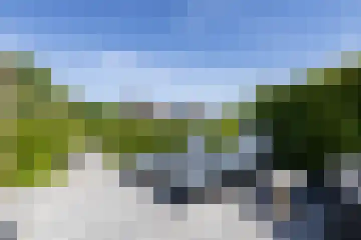 Westeinde 25 Oud-Alblas thumbnail 30