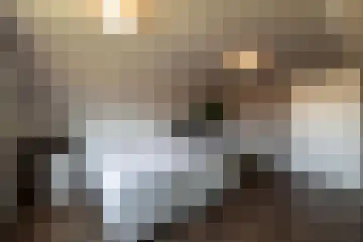 Westeinde 25 Oud-Alblas thumbnail 35