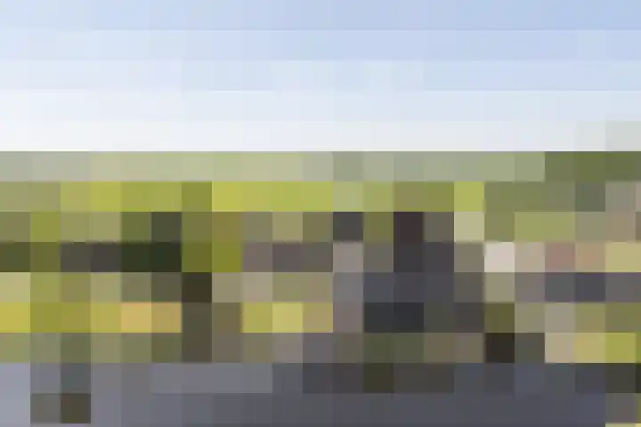Westeinde 25 Oud-Alblas thumbnail 4