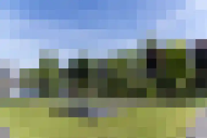 Westeinde 25 Oud-Alblas thumbnail 57