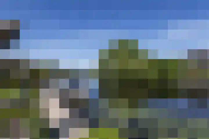 Westeinde 25 Oud-Alblas thumbnail 58