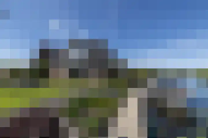 Westeinde 25 Oud-Alblas thumbnail 59