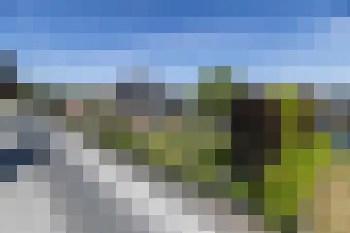 Westeinde 25 Oud-Alblas thumbnail 6