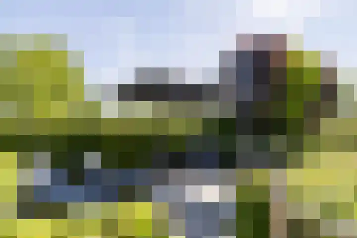 Westeinde 25 Oud-Alblas thumbnail 62