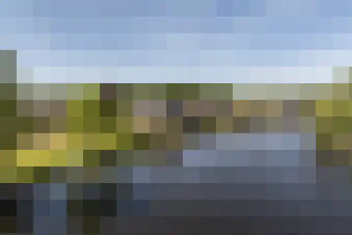 Westeinde 25 Oud-Alblas thumbnail 64