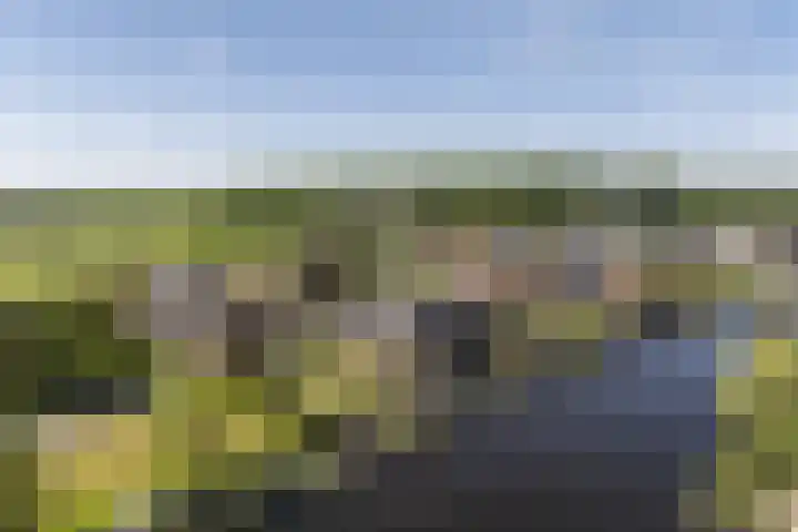 Westeinde 25 Oud-Alblas thumbnail 9