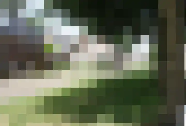 Westeinde 254 Vriezenveen thumbnail 20