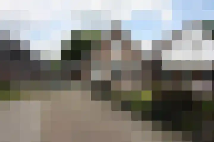Westeinde 254 Vriezenveen thumbnail 22