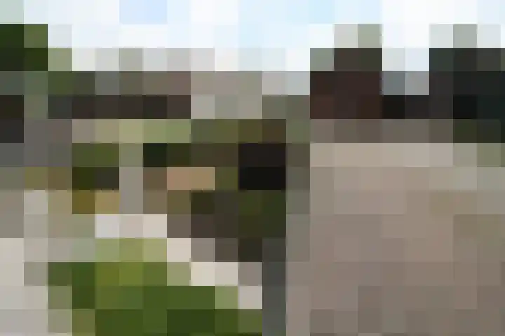 Westeinde 254 Vriezenveen thumbnail 28