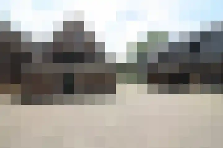 Westeinde 254 Vriezenveen thumbnail 30