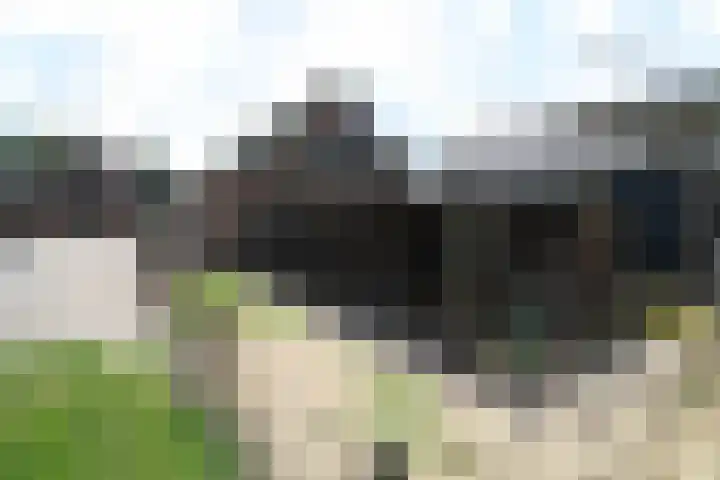 Westeinde 254 Vriezenveen thumbnail 35