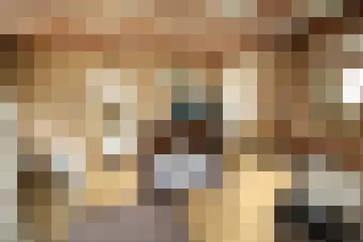 Westeinde 254 Vriezenveen thumbnail 4