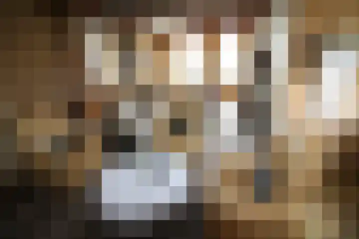 Westeinde 254 Vriezenveen thumbnail 6