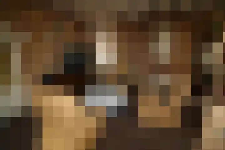 Westeinde 254 Vriezenveen thumbnail 7
