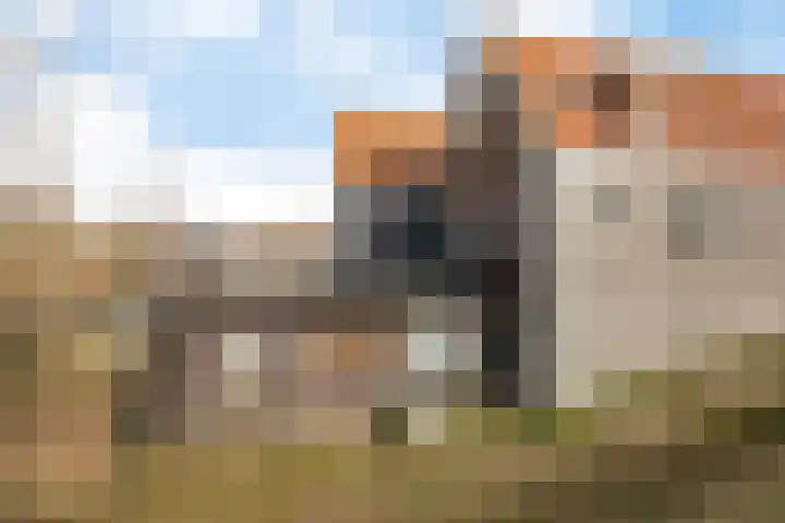 Westeinde 26 Zwartsluis thumbnail 20