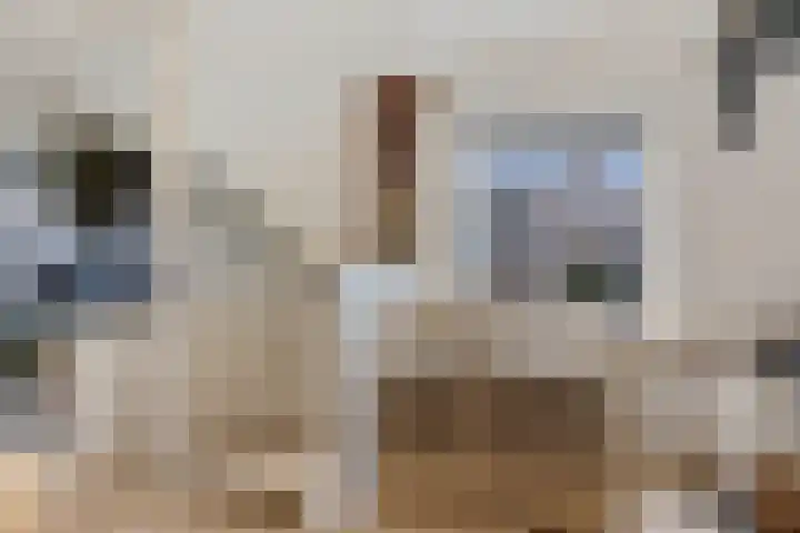 Westeinde 26 Zwartsluis thumbnail 25