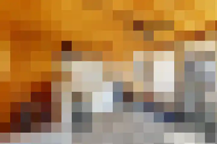 Westeinde 28 Oud-Alblas thumbnail 35