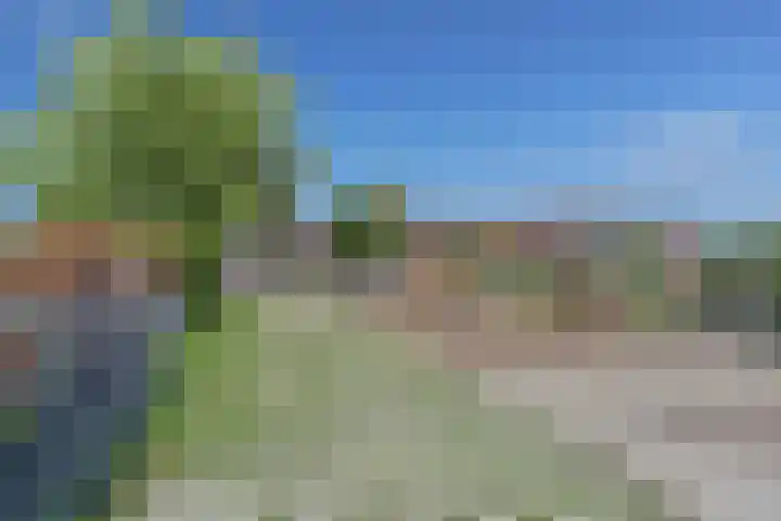 Westeinde 28 Oud-Alblas thumbnail 46