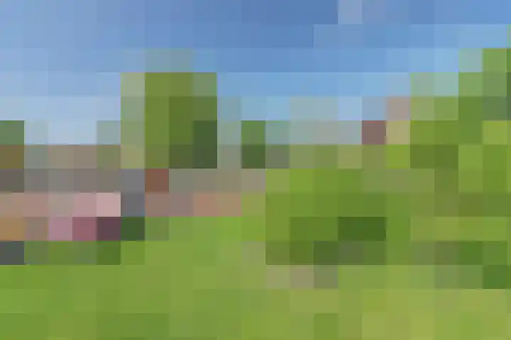 Westeinde 28 Oud-Alblas thumbnail 47