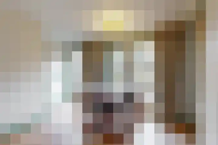 Westeinde 305 Berkhout thumbnail 10