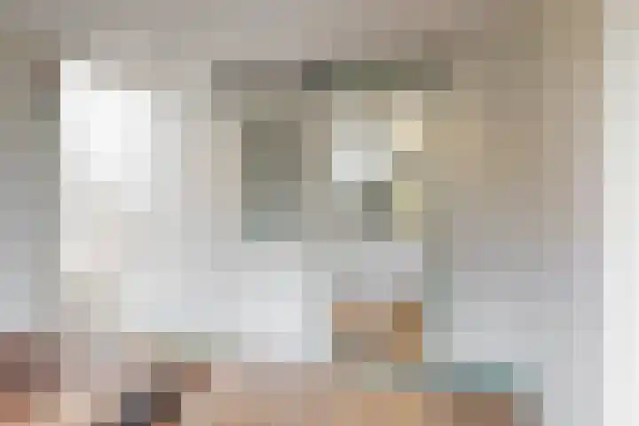 Westeinde 305 Berkhout thumbnail 12