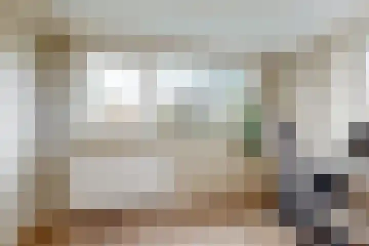 Westeinde 305 Berkhout thumbnail 15