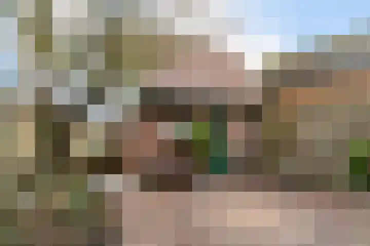 Westeinde 305 Berkhout thumbnail 27