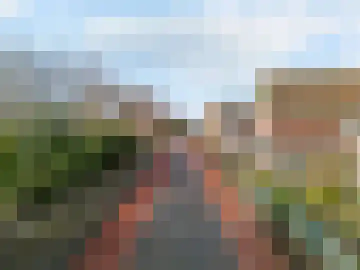 Westeinde 305 Berkhout thumbnail 32