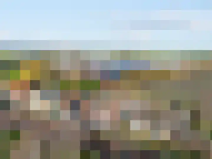 Westeinde 305 Berkhout thumbnail 34