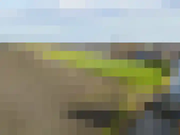 Westeinde 305 Berkhout thumbnail 35