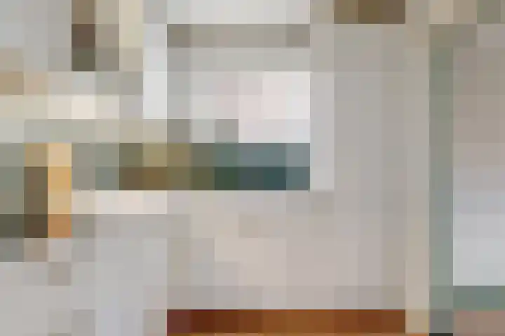 Westeinde 305 Berkhout thumbnail 4
