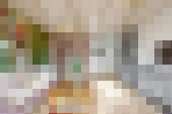 Westeinde 305 Berkhout thumbnail 6