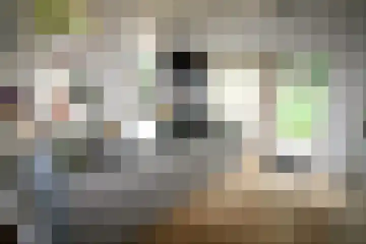 Westeinde 320 Vriezenveen thumbnail 10