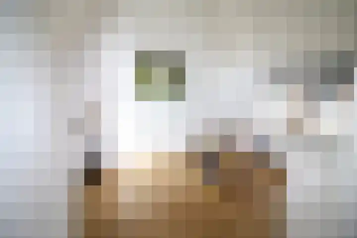 Westeinde 320 Vriezenveen thumbnail 18