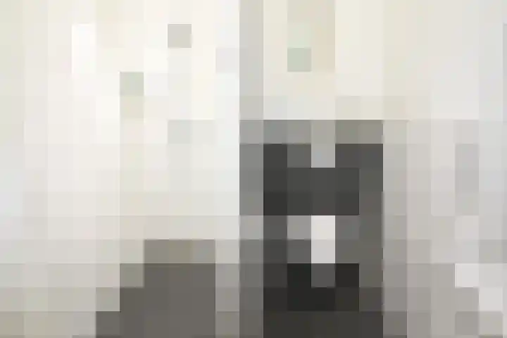 Westeinde 320 Vriezenveen thumbnail 20