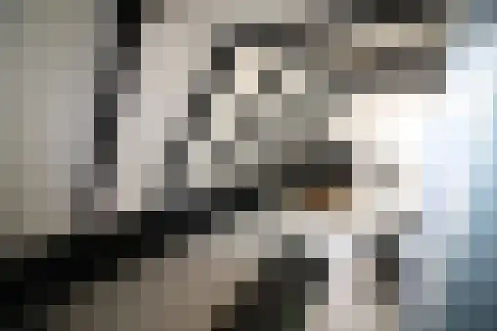 Westeinde 320 Vriezenveen thumbnail 25