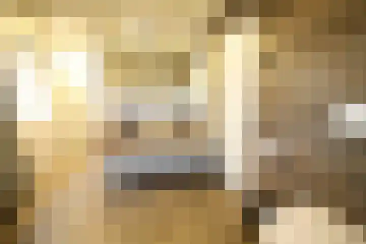 Westeinde 320 Vriezenveen thumbnail 30