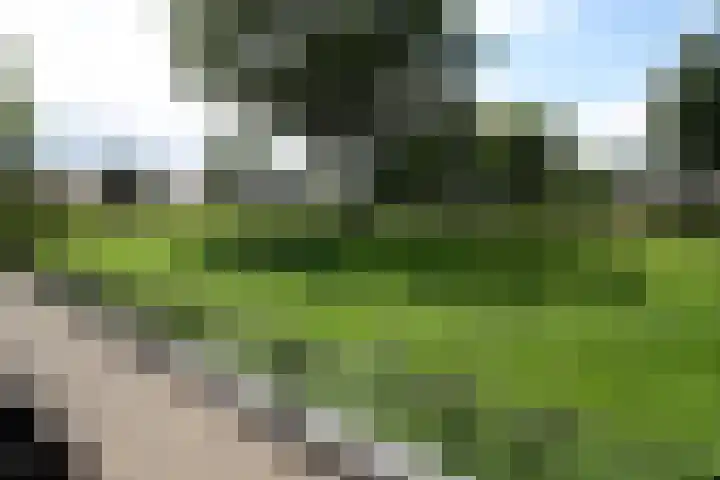 Westeinde 320 Vriezenveen thumbnail 43