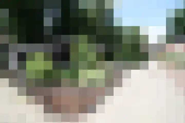 Westeinde 320 Vriezenveen thumbnail 50
