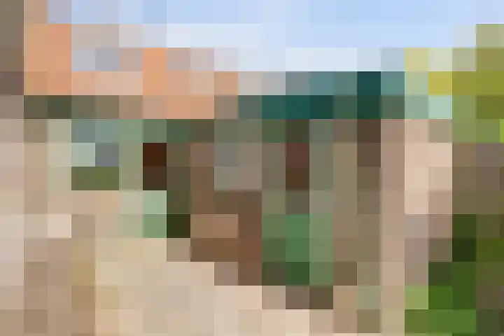 Westeinde 33 Enkhuizen thumbnail 25