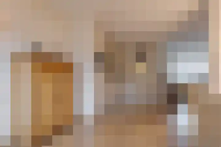 Westeinde 33 Westerbork thumbnail 16