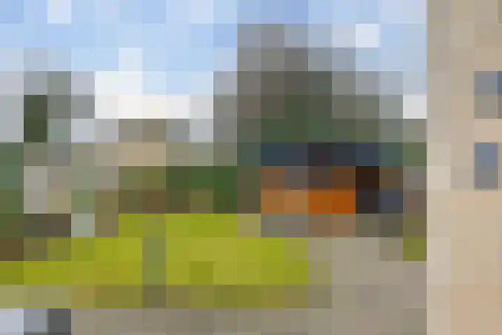 Westeinde 33 Westerbork thumbnail 29