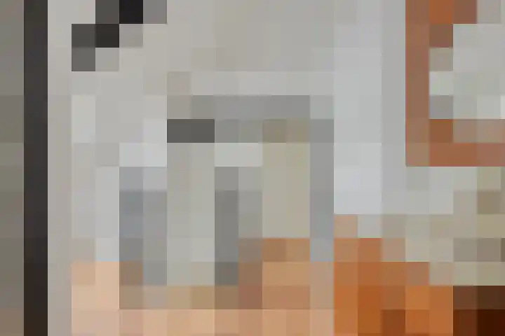 Westeinde 343 Berkhout thumbnail 28