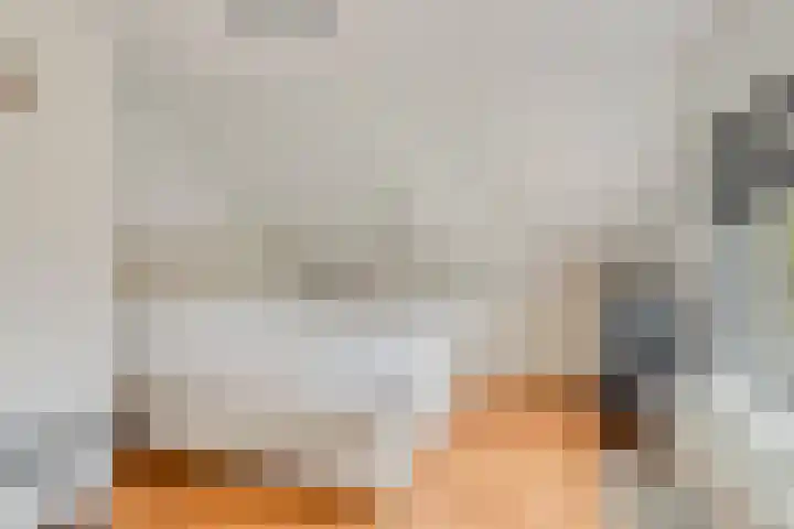 Westeinde 343 Berkhout thumbnail 30